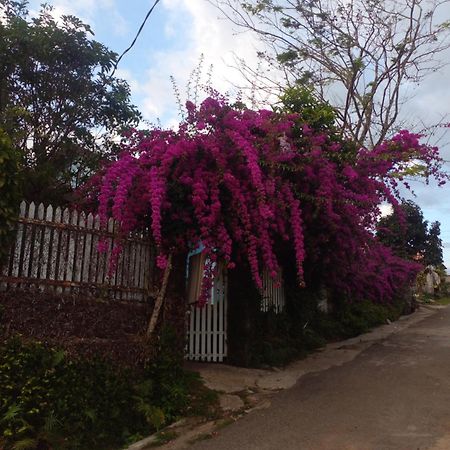Ly'S Homestay Gia Nghia ภายนอก รูปภาพ