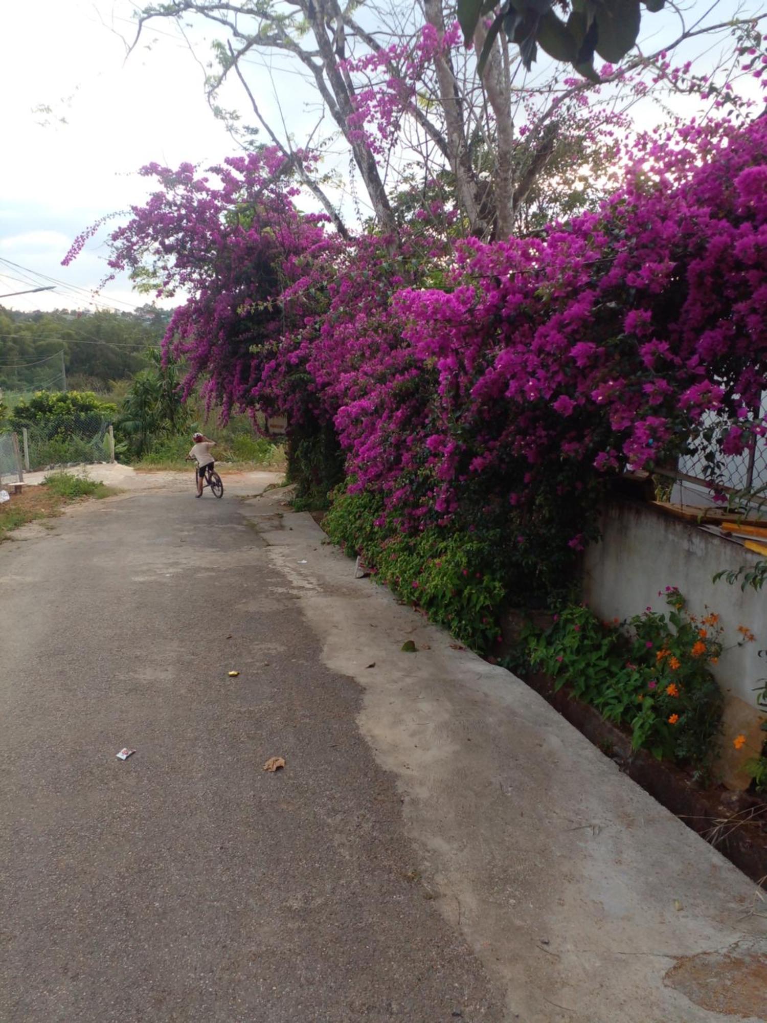 Ly'S Homestay Gia Nghia ภายนอก รูปภาพ