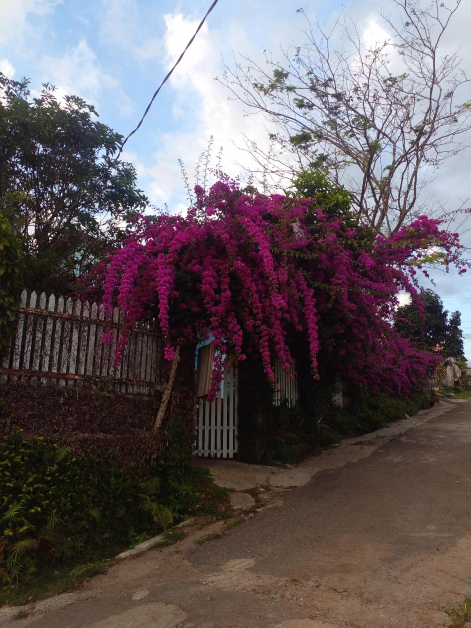 Ly'S Homestay Gia Nghia ภายนอก รูปภาพ
